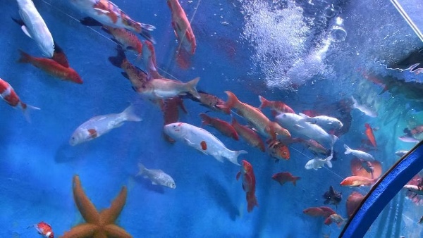 Nizampatnam Aqua Park Nizampatnam Aqua Park