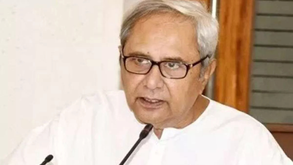 Odisha govt launches wildlife cell