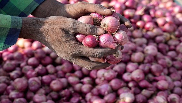 Onion Price: सरकार ने बफर स्टॉक के लिए खरीदा 3 लाख टन प्याज