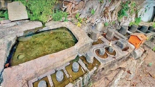 Sagar_पांडव वन: 5 हजार साल से प्रकृति कर रही 12 शिवलिंग का अभिषेक