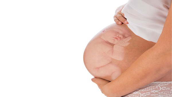 maternity leave