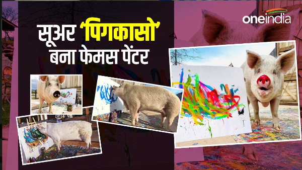 pig makes paintings pig makes paintings