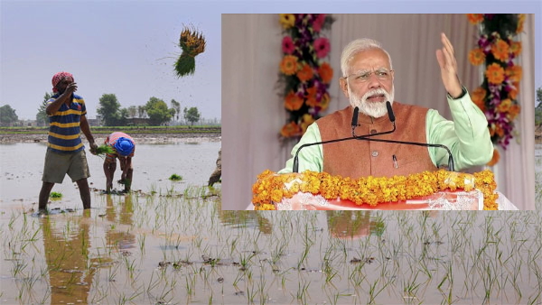 Pm kisan samman nidhi yojana 14 kist Pm kisan samman nidhi yojana 14 kist