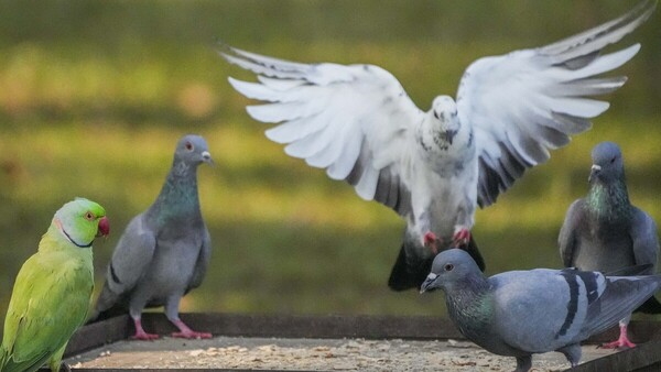 Delhi Weather Today: