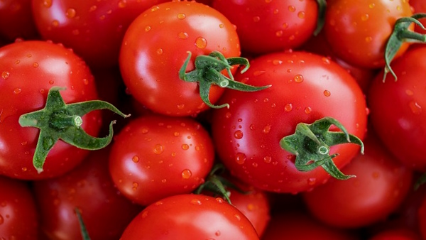  tomatoes stolen from muhana mandi 