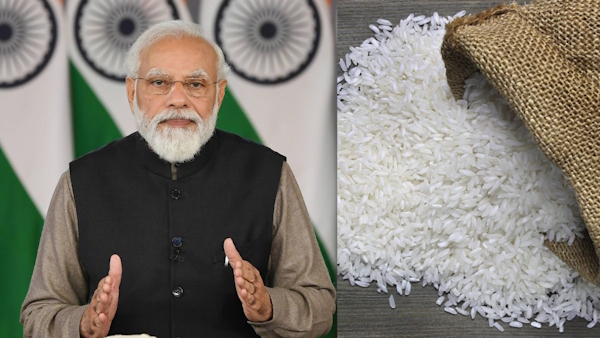  non basmati rice export