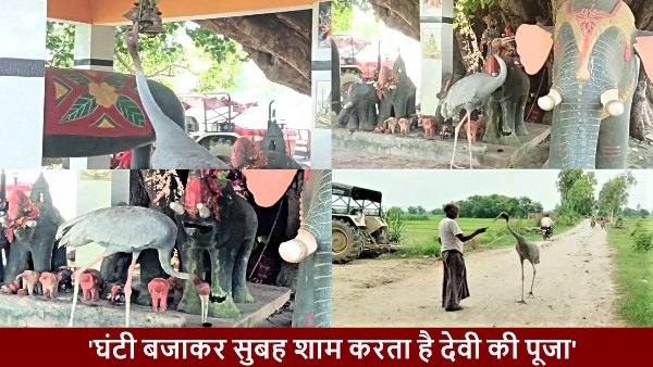 Amazing story of another saras who prays daily in kaali maata temple lives in village
