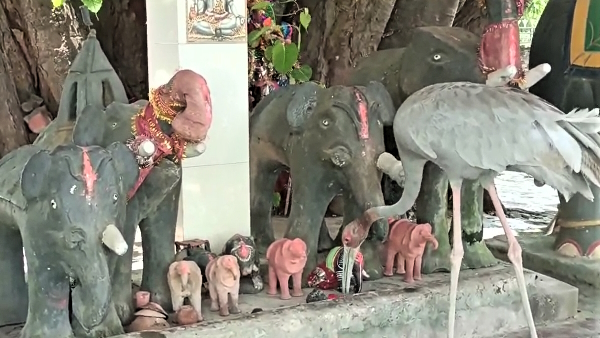 Amazing story of another saras who prays daily in kaali maata temple lives in village
