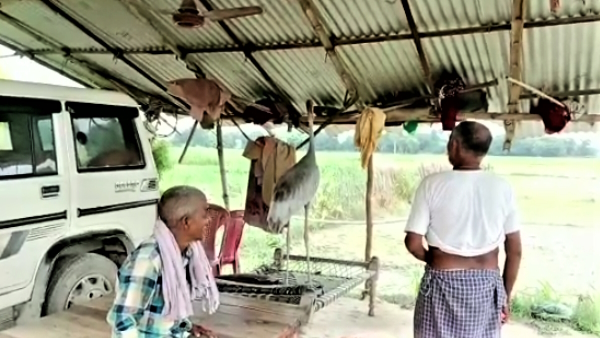 Amazing story of another saras who prays daily in kaali maata temple lives in village