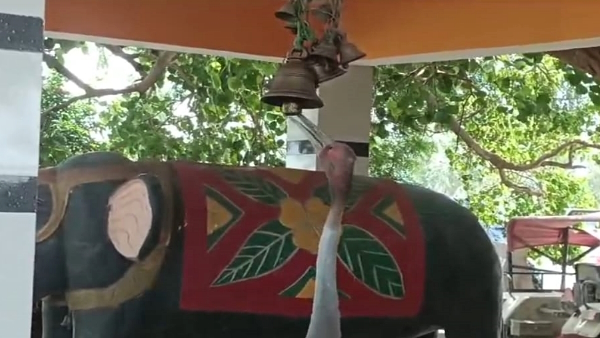 Amazing story of another saras who prays daily in kaali maata temple lives in village