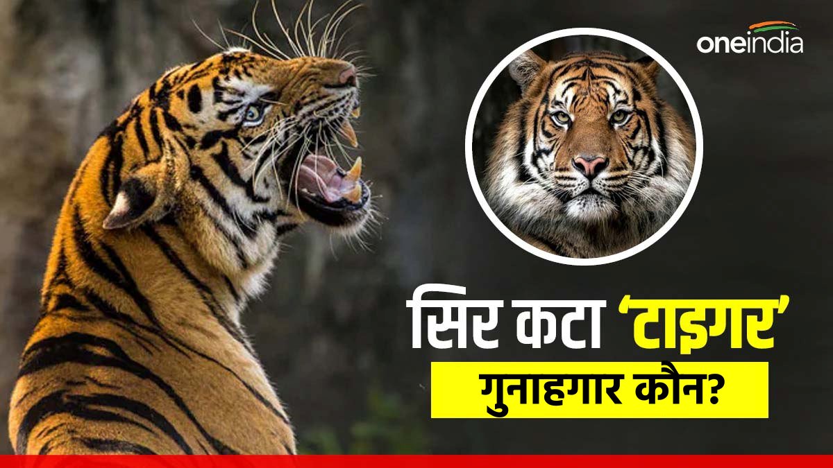 satpura-tiger-reserve-incident-beheaded-killing