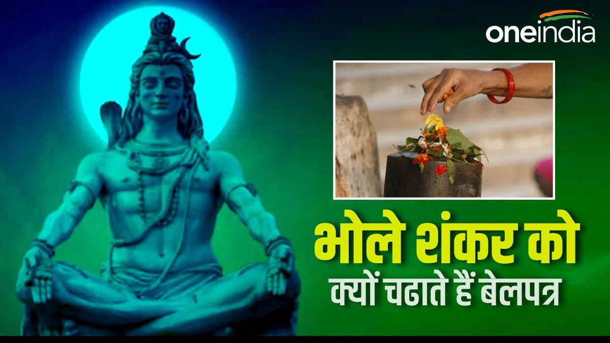 sawam-2023 sawam-2023