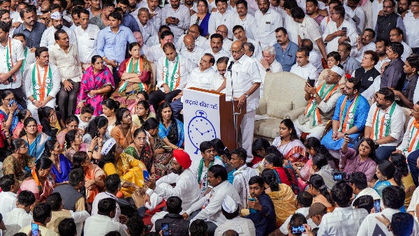 sharad pawar to rebels