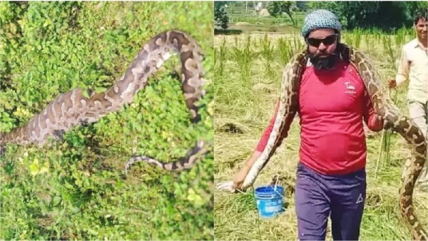 Shivpuri News Python
