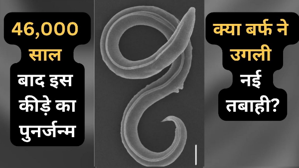 Siberian permafrost Siberian permafrost