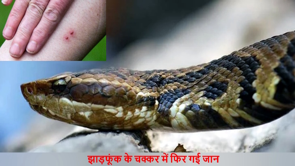 Two deaths in a week due to snakebite in mau district because of superstition .. 