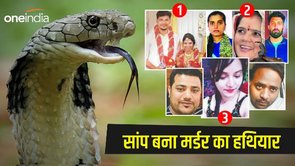 Three big cases of the country, when snake became weapon of murder Kerala Rajasthan now uttarakhand