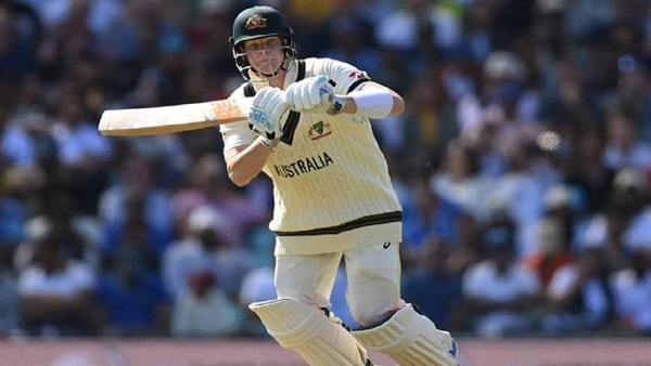 steve smith