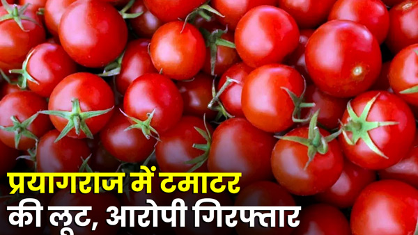 tomato-looted-after-beating-vegetable-seller-in-prayagraj-up