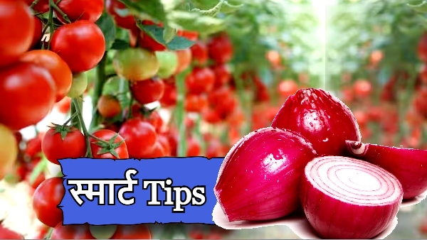 Tomato Onion Price Hike