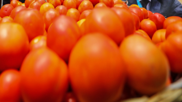 pune-farmer-became-rich-by-selling-tomatoes pune-farmer-became-rich-by-selling-tomatoes
