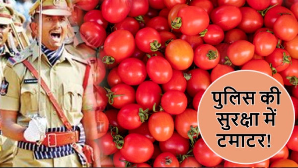 Tomato Lorry Overturns