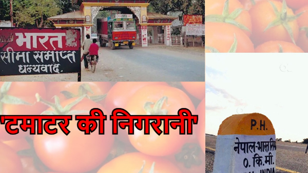 Tomato Price in Bihar