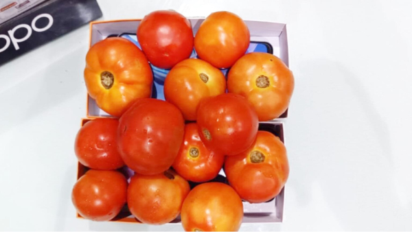 Tomato Price Hike ,