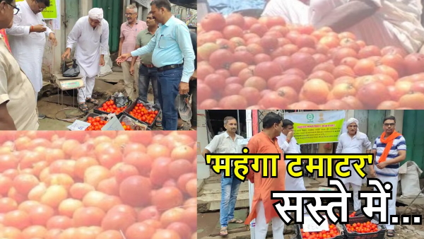 Expensive tomato being sold at cheap price, t
