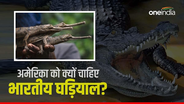 us import gharials from India