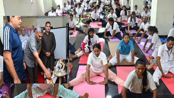 YOG SARGUJA