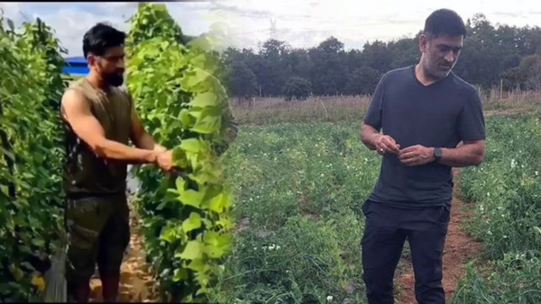  MS Dhoni savors home-grown vegetables at his farmhouse