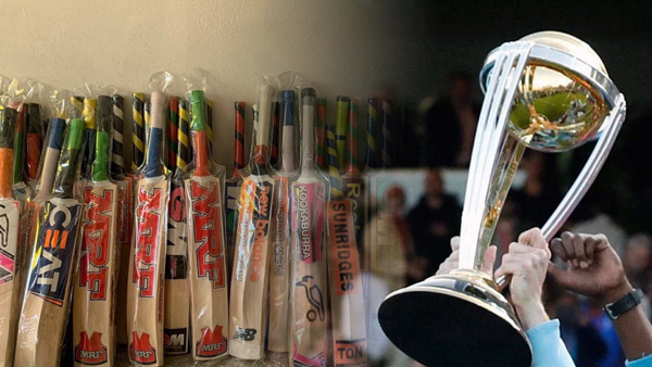  The Rise of Kashmir Willow Bats