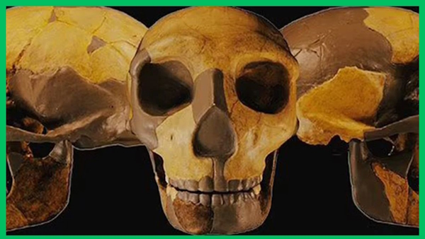 300,000-year-old skull found in china
