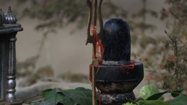 Shivling news