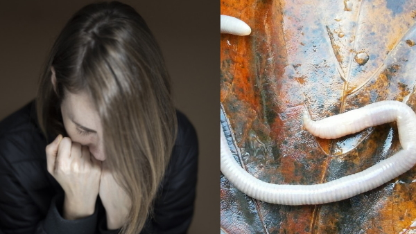 doctor found live insect in human brain