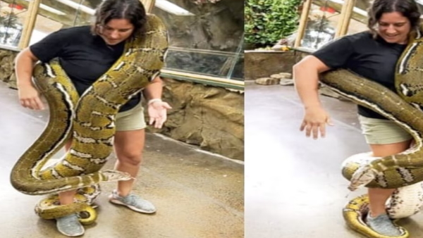 python