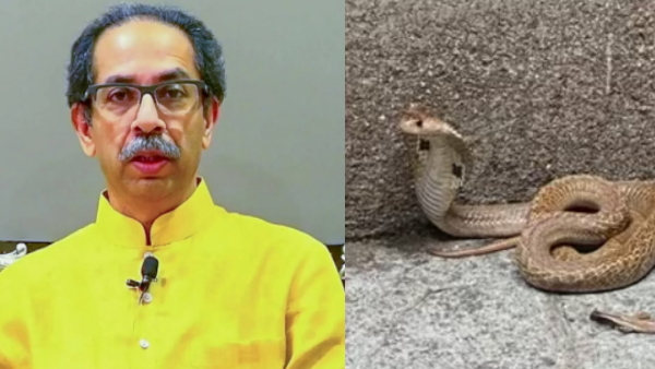 Uddhav Thackeray Uddhav Thackeray