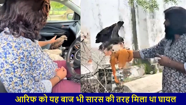 Arif got new friend hawk questions raised on social media as story of saras and hawk is same