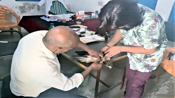 Arif got new friend hawk questions raised on social media as story of saras and hawk is same