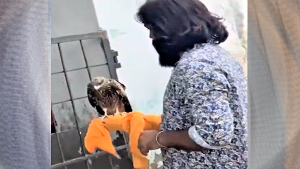 Arif got new friend hawk questions raised on social media as story of saras and hawk is same