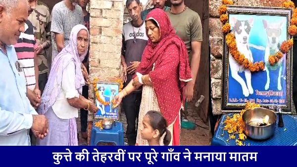 dog tommy alias munna Thirteenth ceremony was celebrated in baghpat 