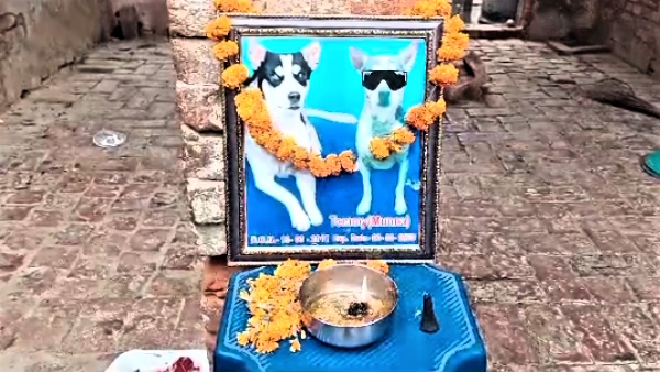 dog tommy alias munna Thirteenth ceremony was celebrated in baghpat 
