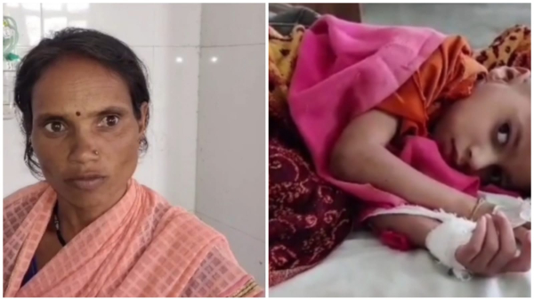 Dog incident with private part of 6-year-old boy in Betul, treatment continues in hospital