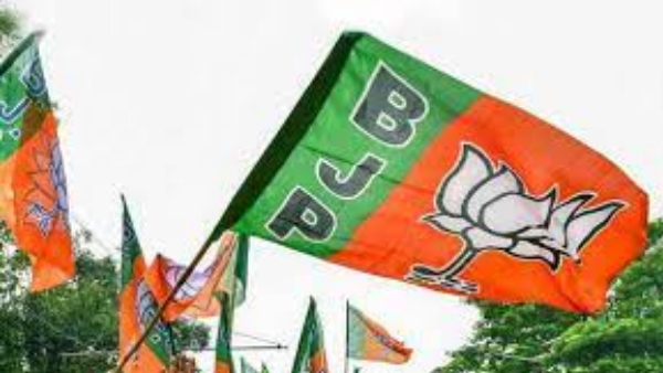  Andhra Pradesh News