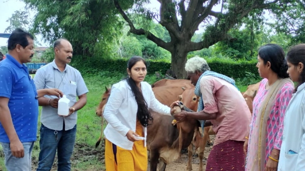CG SURAJI GRAM YOJANA