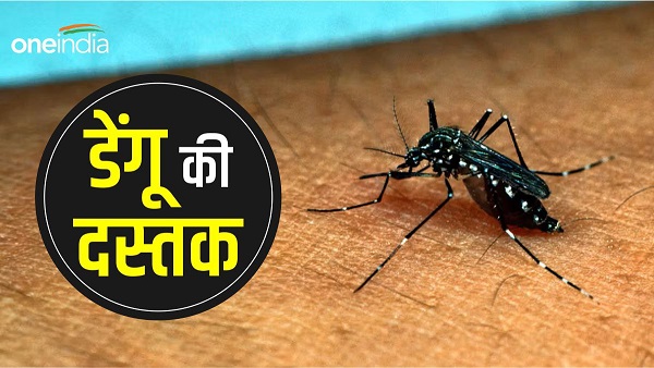 बुंदेलखंड में डेंगू-डायरिया की दस्तक, स्वास्थ्य विभाग अलर्ट 