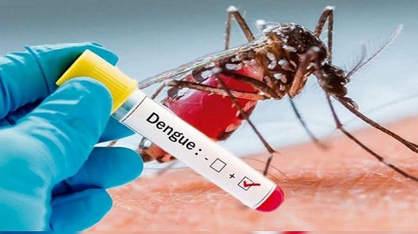 Dengue Rapid Test