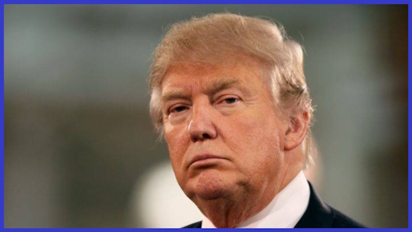 donald trump popularity donald trump popularity
