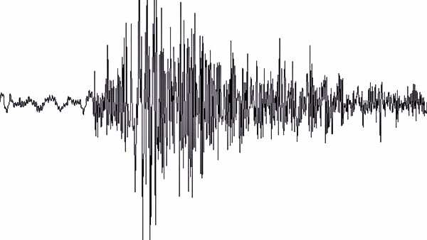 Earthquke in india afghanistan update